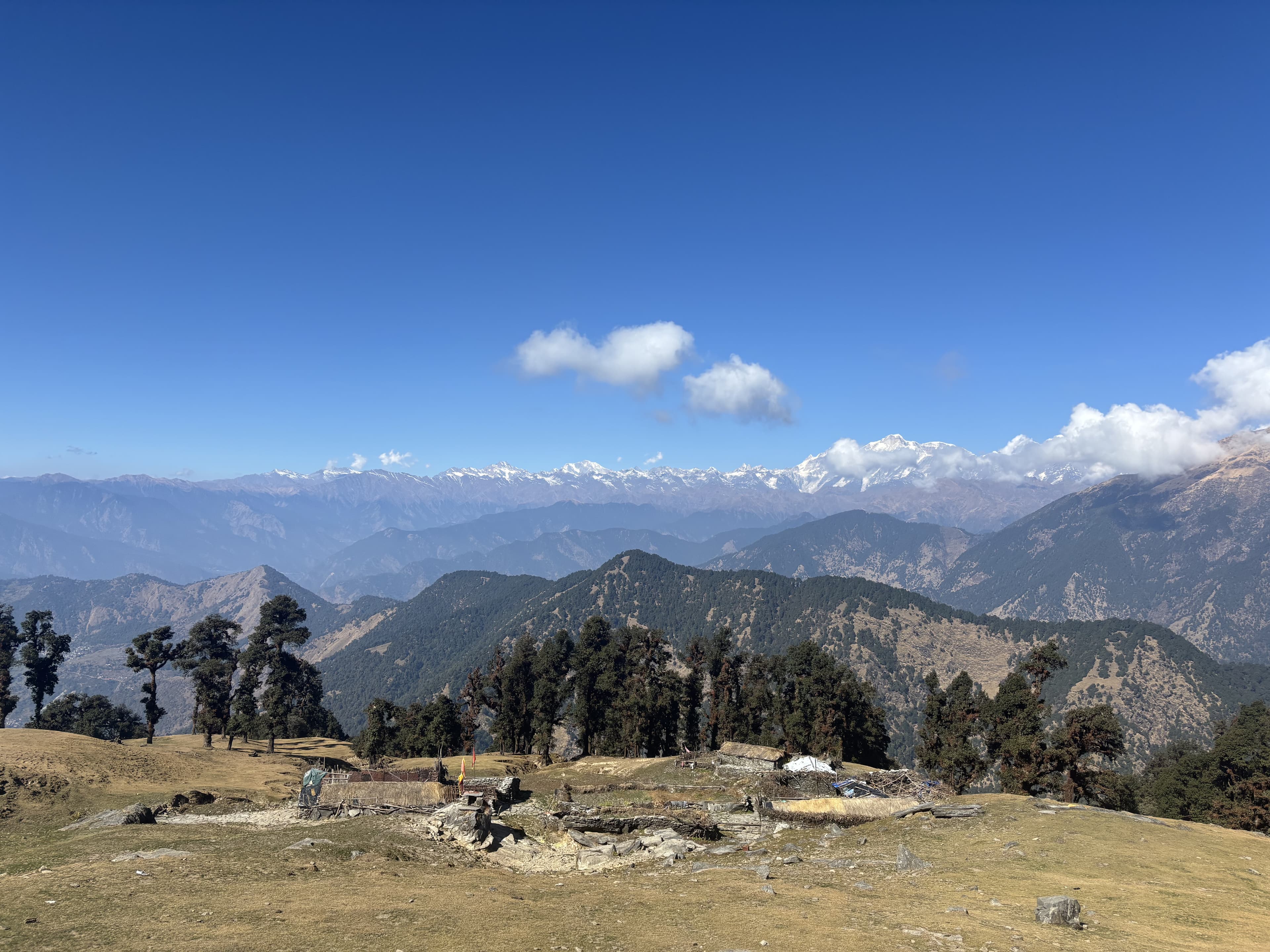 Lord Shiva Camps - photo8 - Chopta Village, Uttarakhand